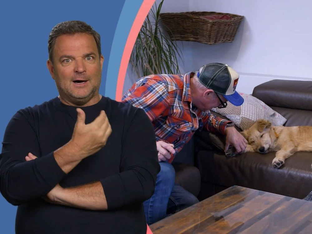 Dass sich Produzent Markus in den Tierschutz-Welpen Jabba verliebt hat, überrascht Martin Rütter (links) nicht. (Bild: RTL)