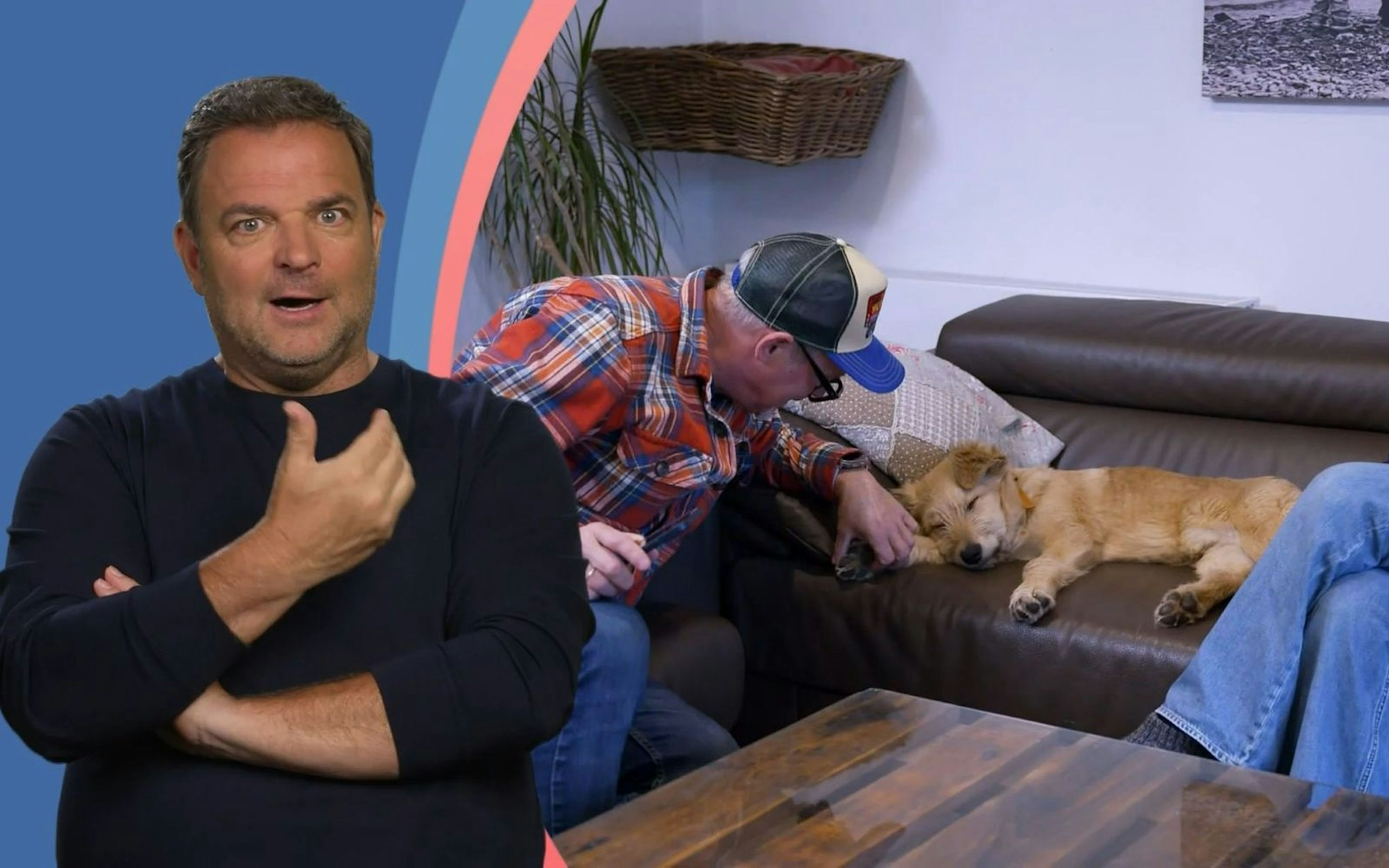 Dass sich Produzent Markus in den Tierschutz-Welpen Jabba verliebt hat, überrascht Martin Rütter (links) nicht. (Bild: RTL)