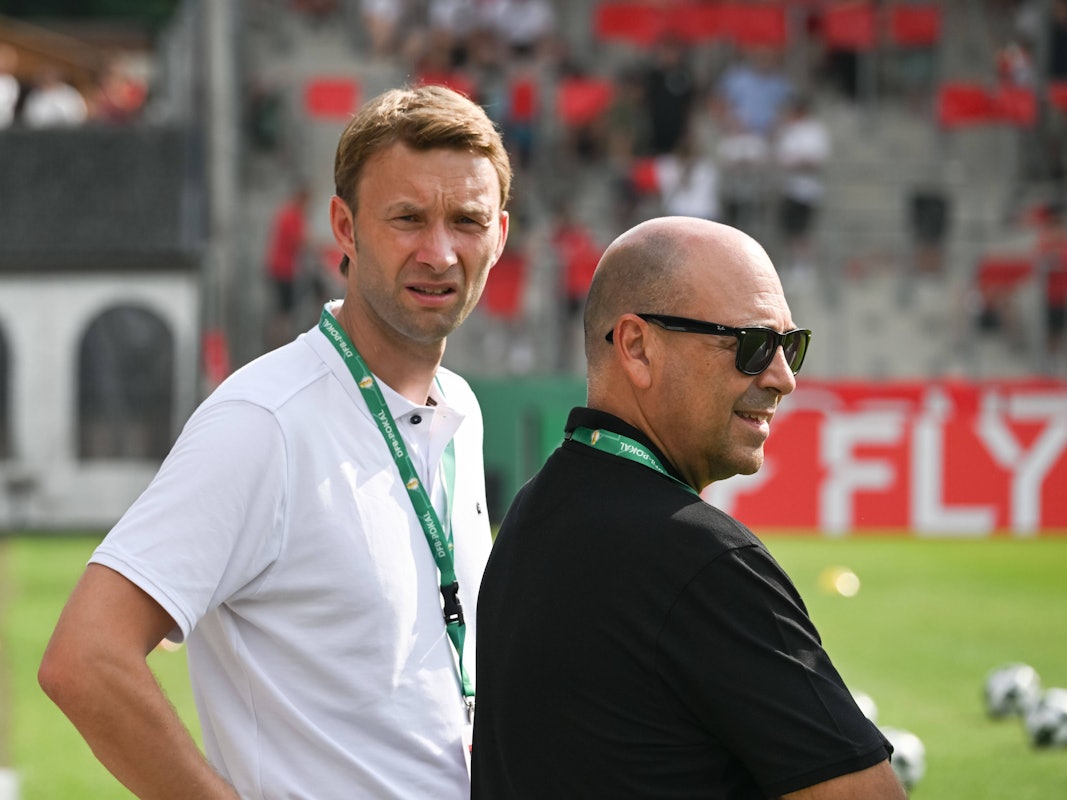 Simon Rolfes und Fernando Carro stehen am Spielfeldrand.