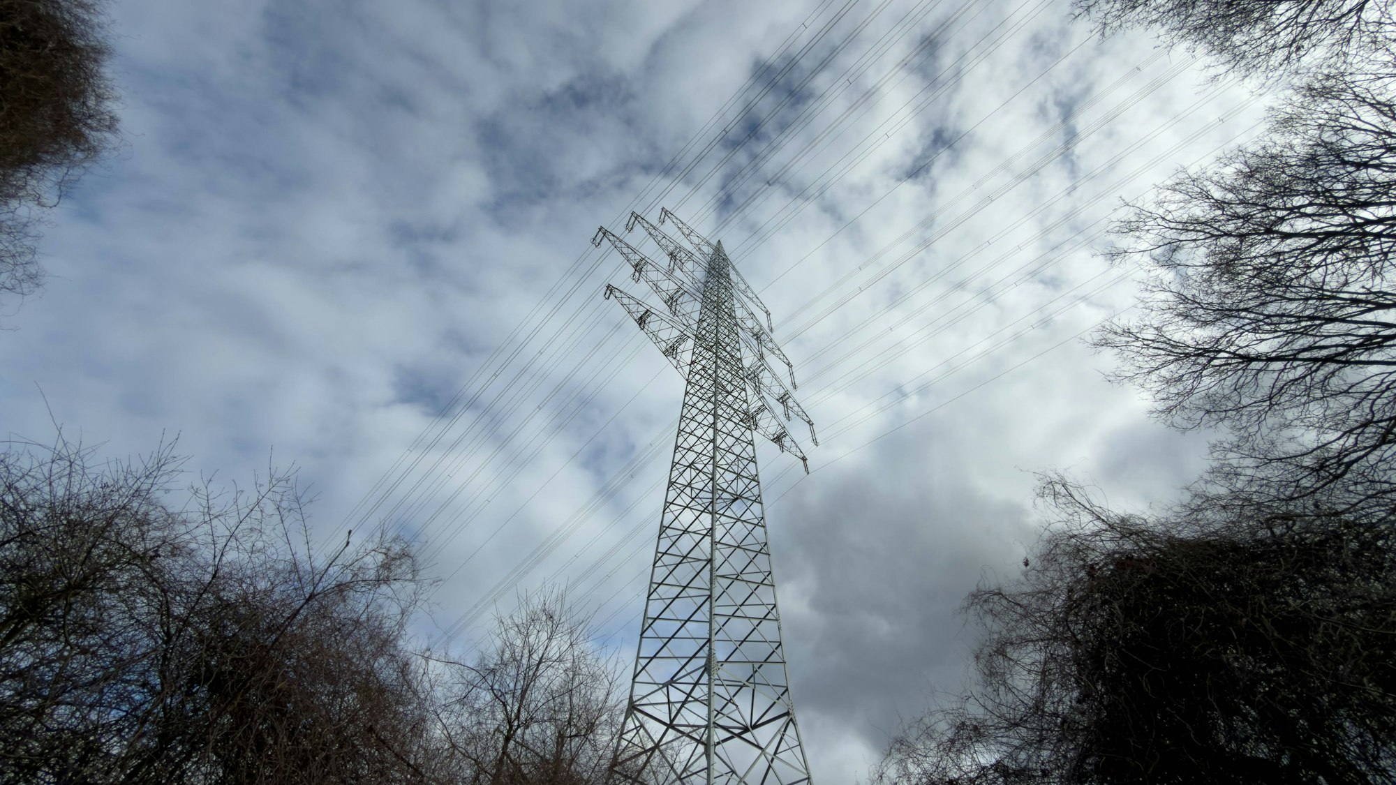 Strommast und kahle Äste vor bewölktem Himmel