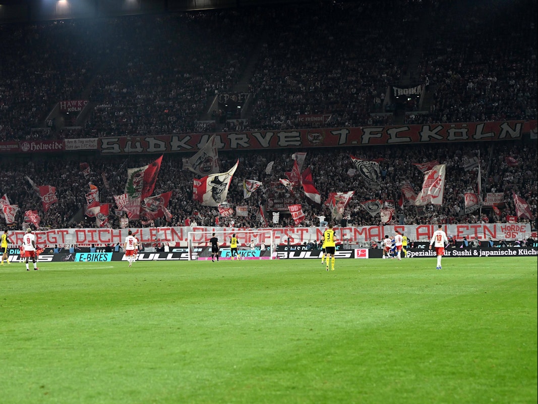Die Südkurve des 1. FC Köln während des Spiels gegen Borussia Dortmund.