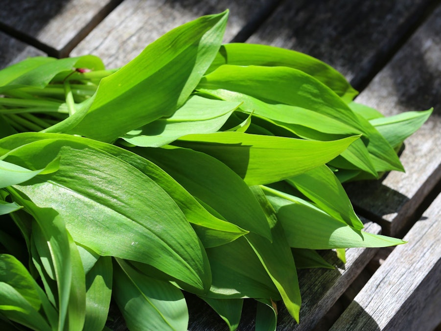 Bärlauch auf einem Holztisch