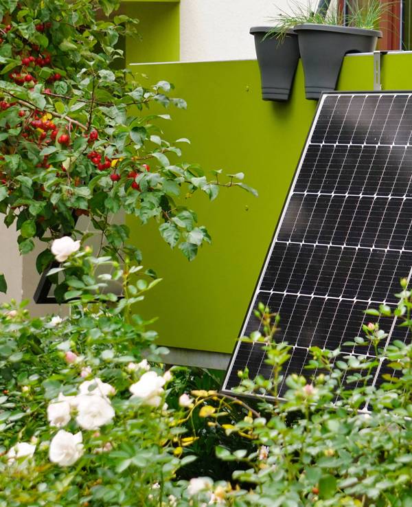 Solarpanel auf Balkon mit vielen Pflanzen