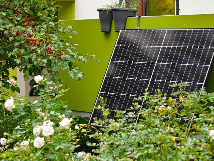 Solarpanel auf Balkon mit vielen Pflanzen