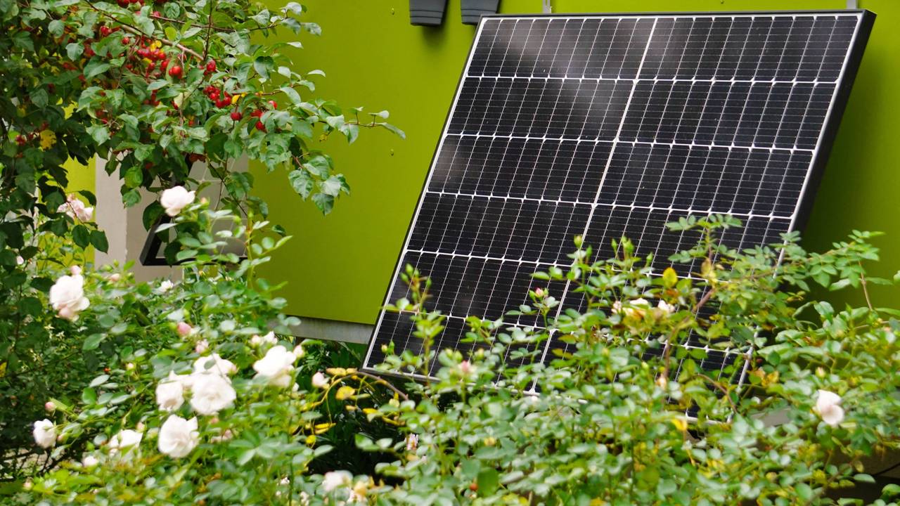 Solarpanel auf Balkon mit vielen Pflanzen