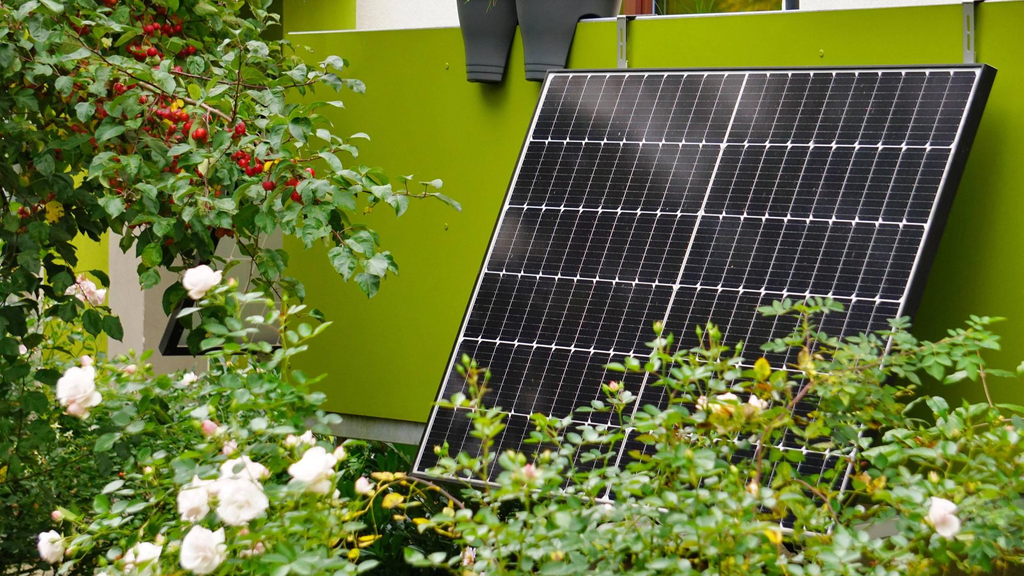 Solarpanel auf Balkon mit vielen Pflanzen