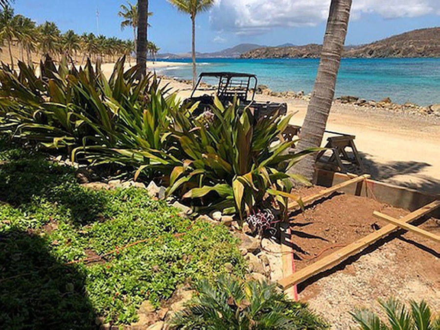 Jeffrey Epsteins Insel mit Strand, Palmen und Fahrzeug