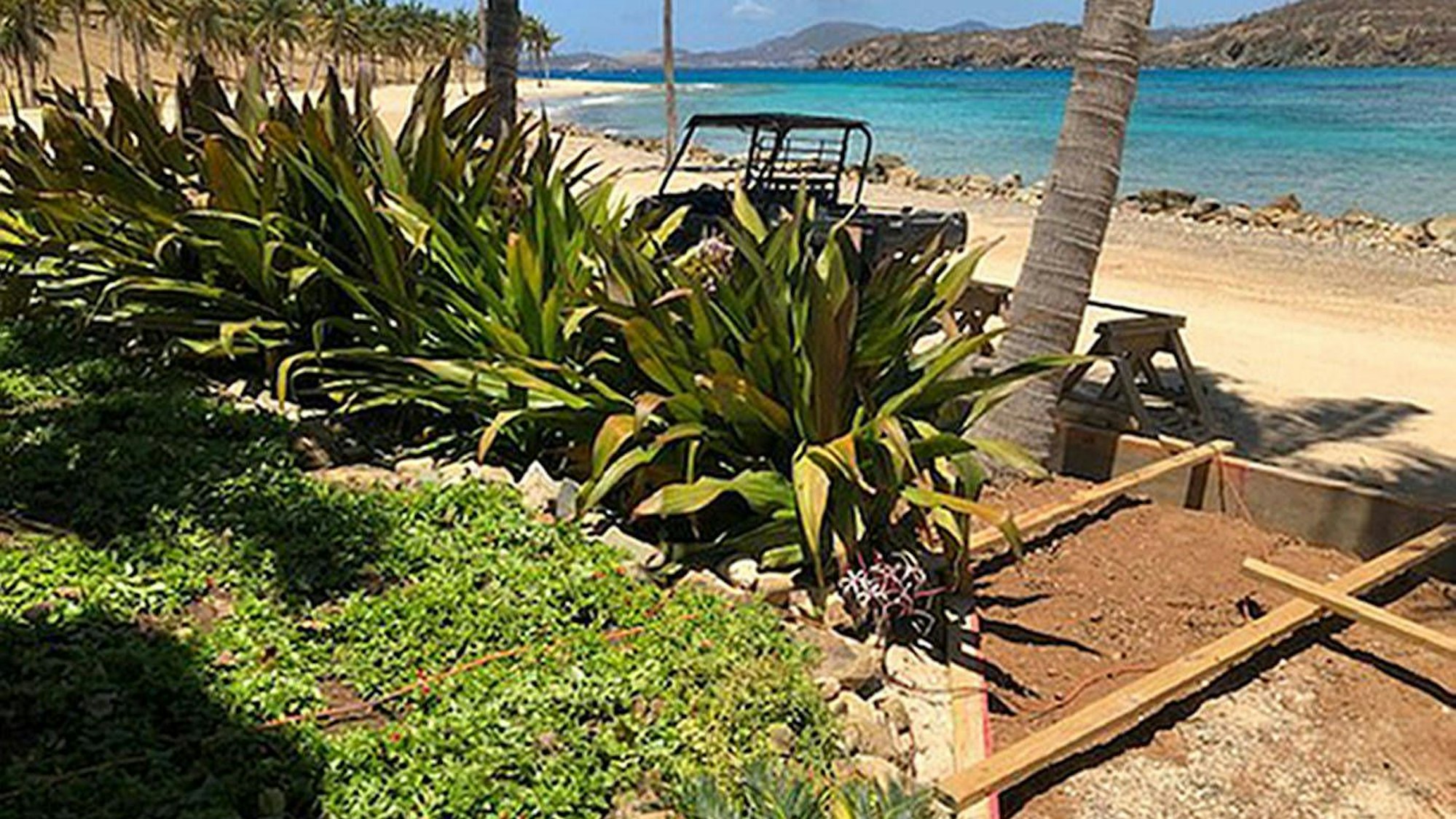 Jeffrey Epsteins Insel mit Strand, Palmen und Fahrzeug