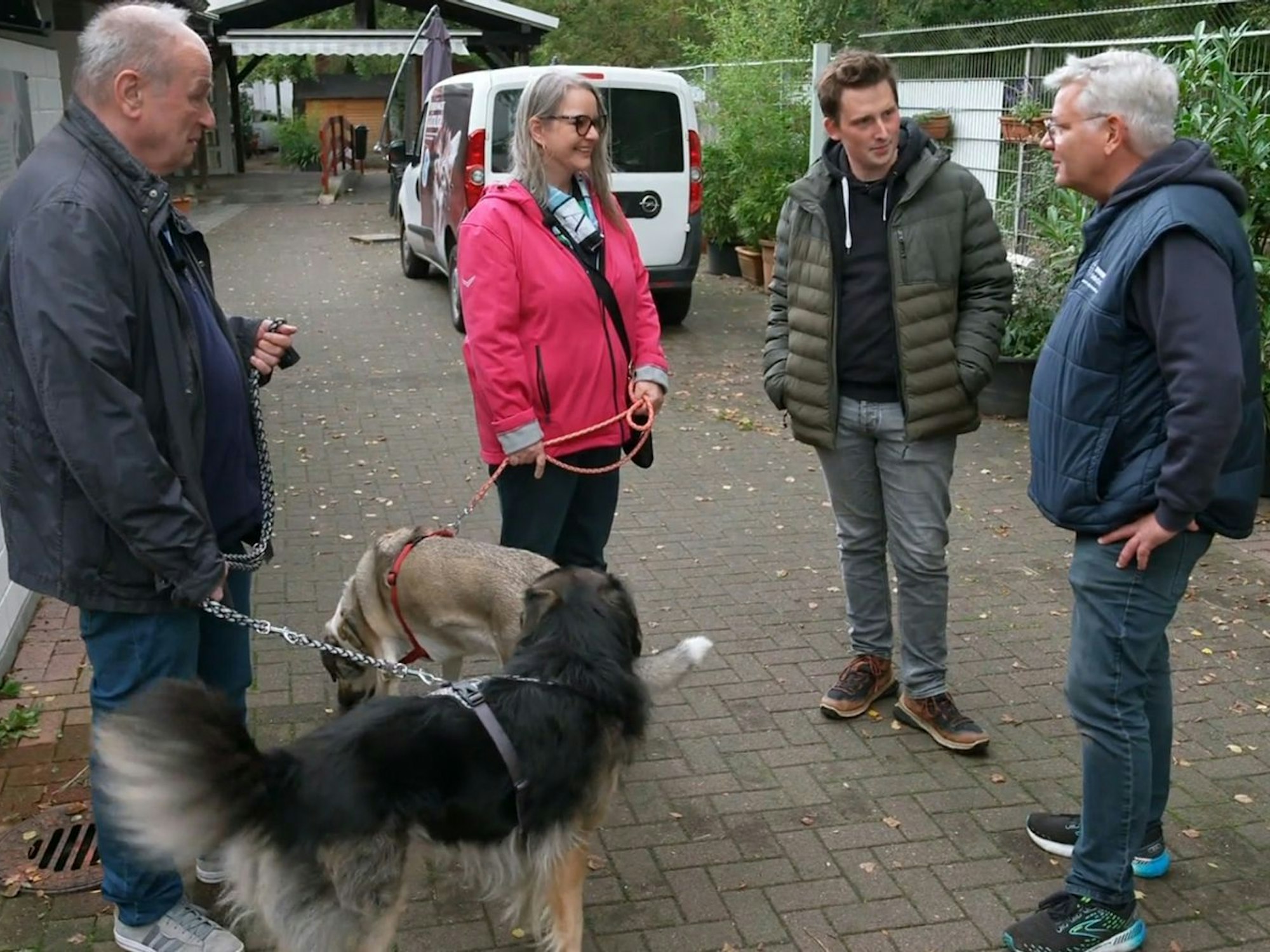 Tatjana und Thomas wollen die beiden zwölfjährigen Hunde kennenlernen. (Bild: RTL)