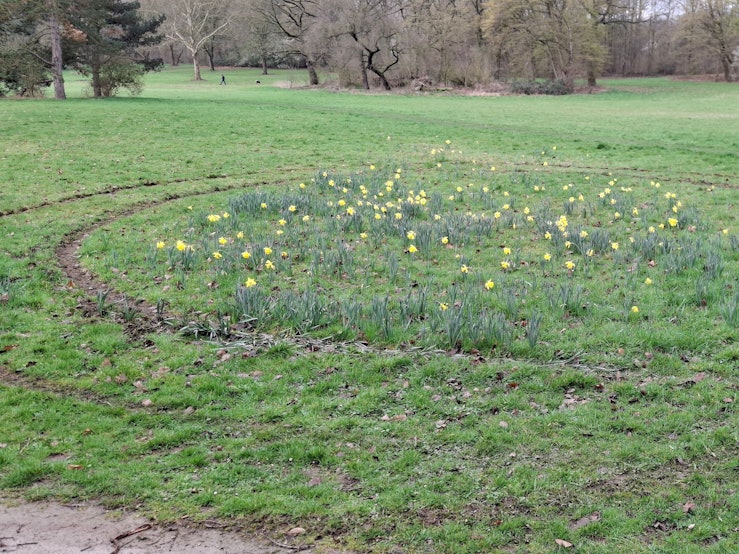 Unbekannte haben eine Wiese in der Nähe von Pesch zerstört.