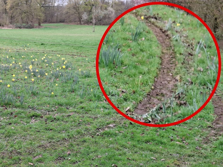 Unbekannte haben eine Wiese in der Nähe von Pesch zerstört.