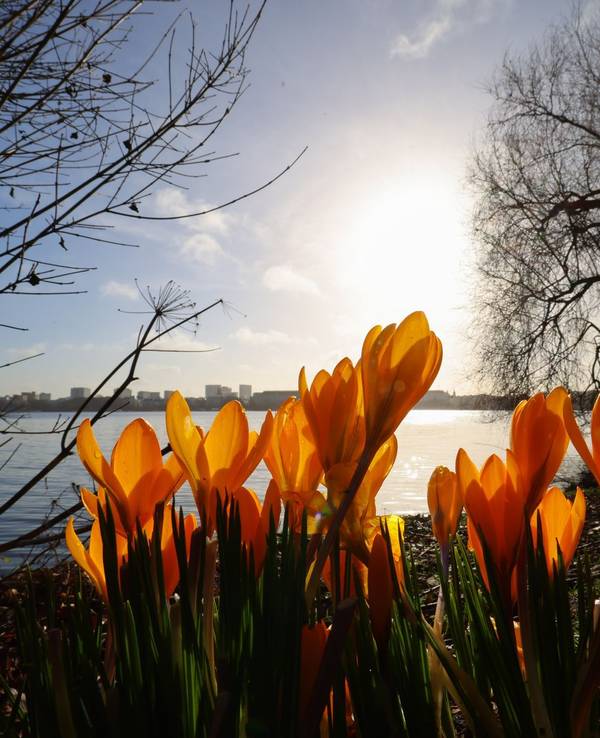 Frühling an der Alster