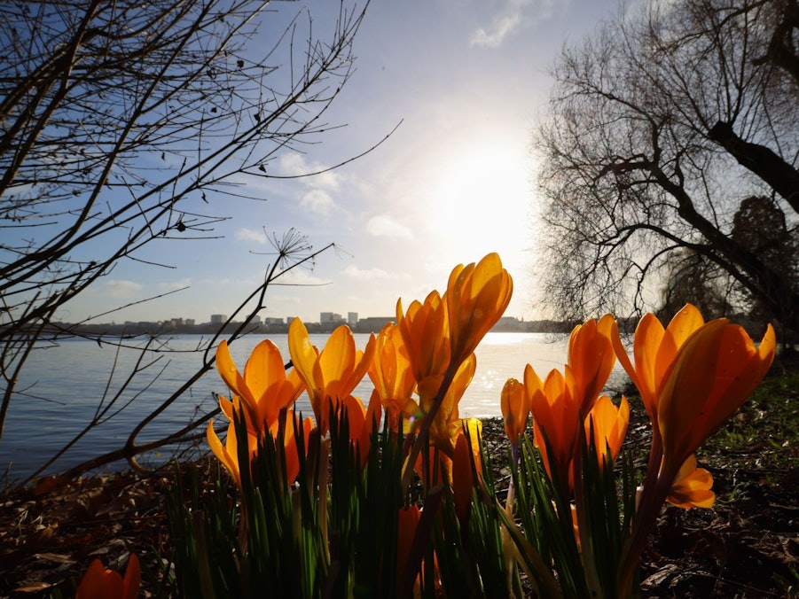 Frühling an der Alster