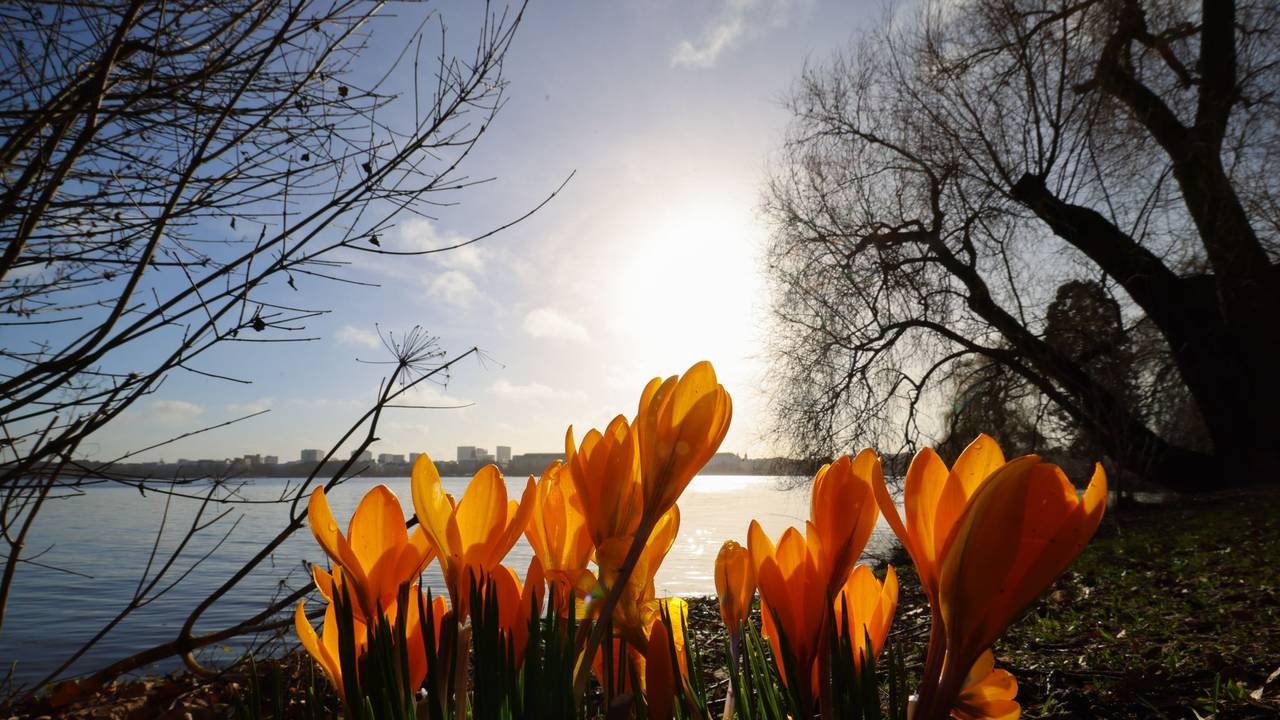 Frühling an der Alster
