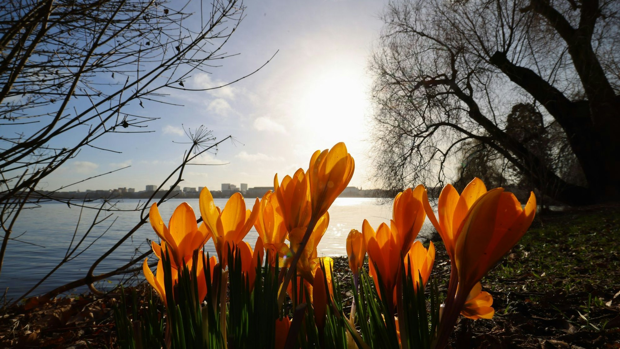 Frühling an der Alster