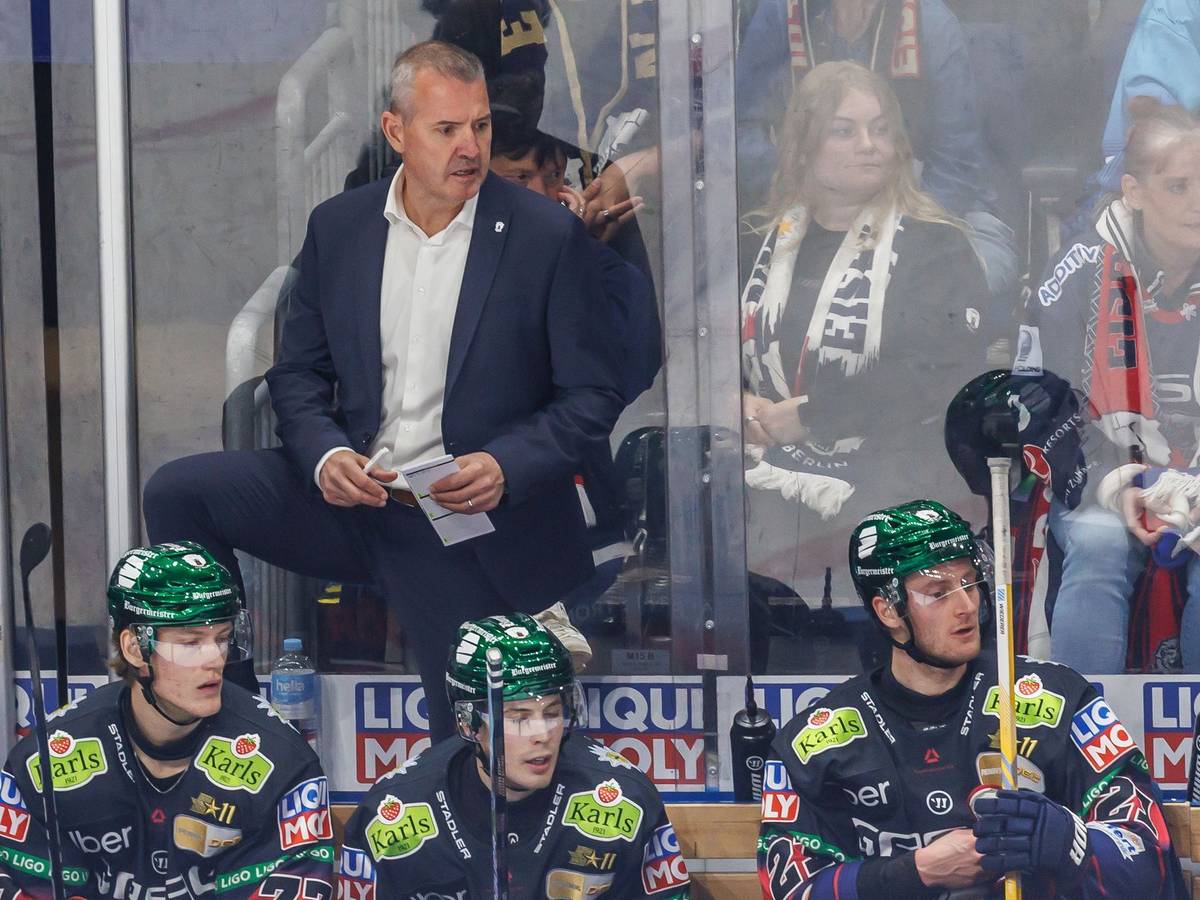 Trainer Serge Aubin von den Eisbären Berlin