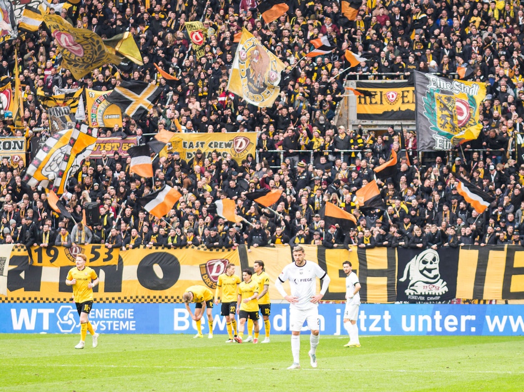 Im Hintergrund jubeln Dresdner, vorne steht Imad Rondic.