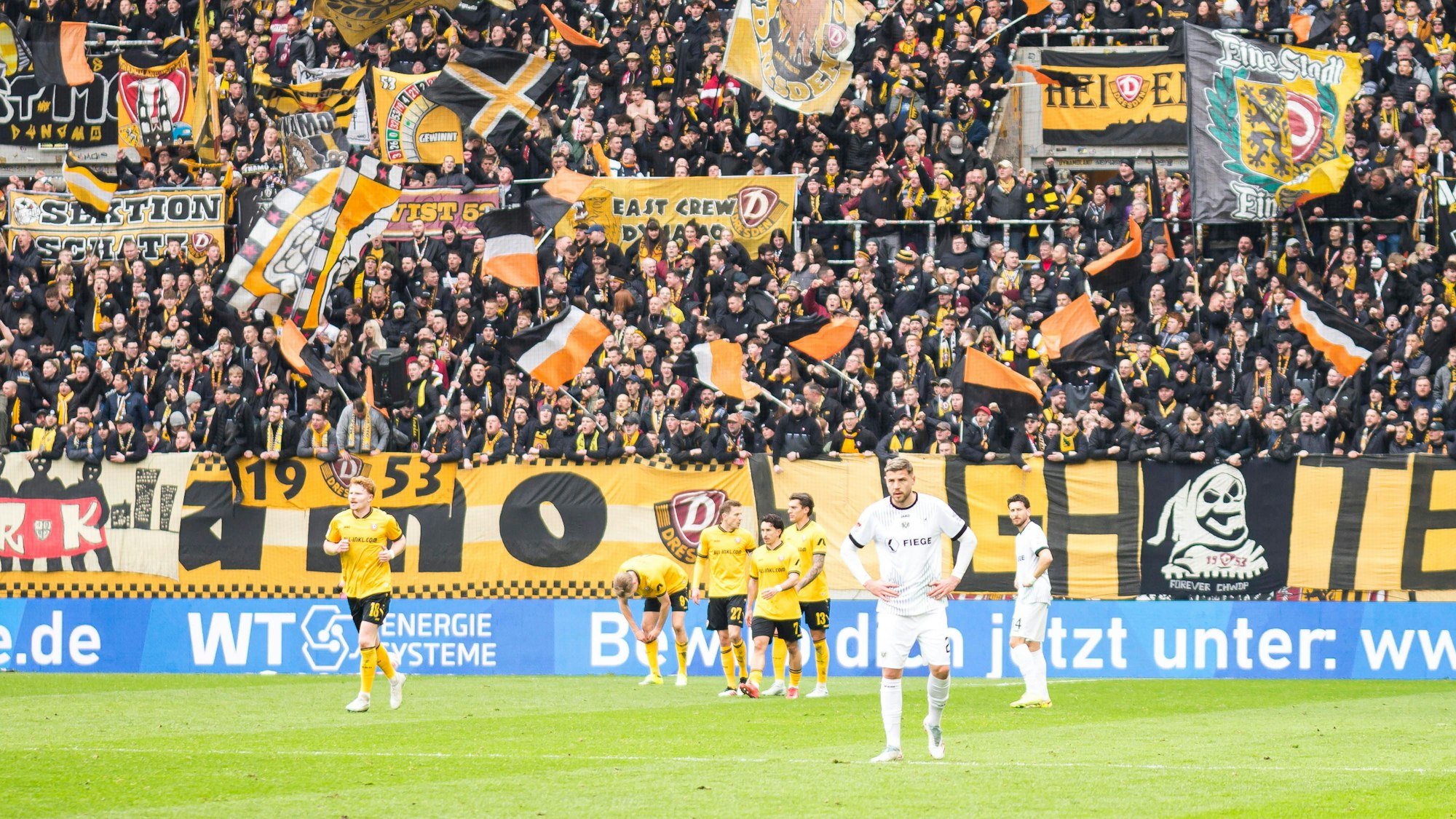 Im Hintergrund jubeln Dresdner, vorne steht Imad Rondic.