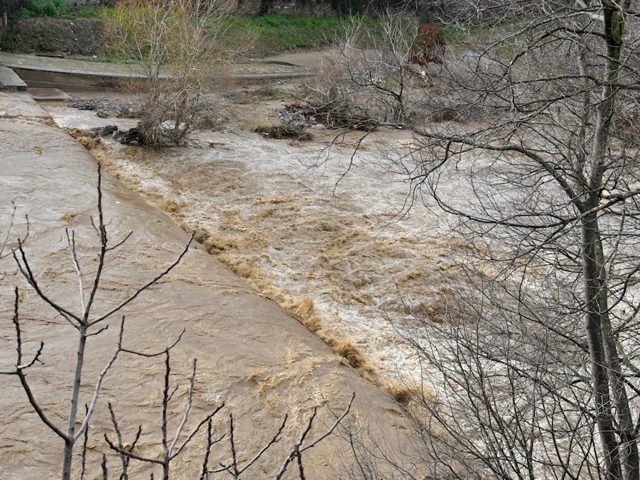 Überschwemmter Fluss mit braunem Wasser und kahlen Bäumen