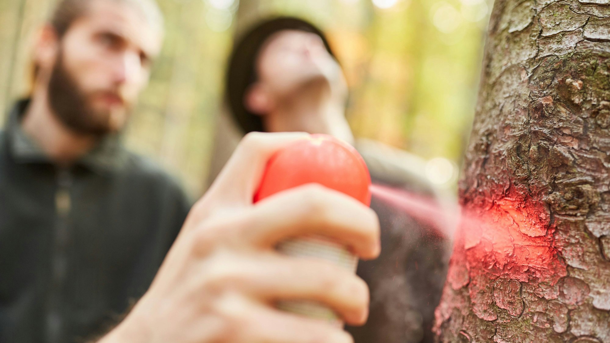 Hand mit Sprühdose markiert einen Baum in der Holzernte.