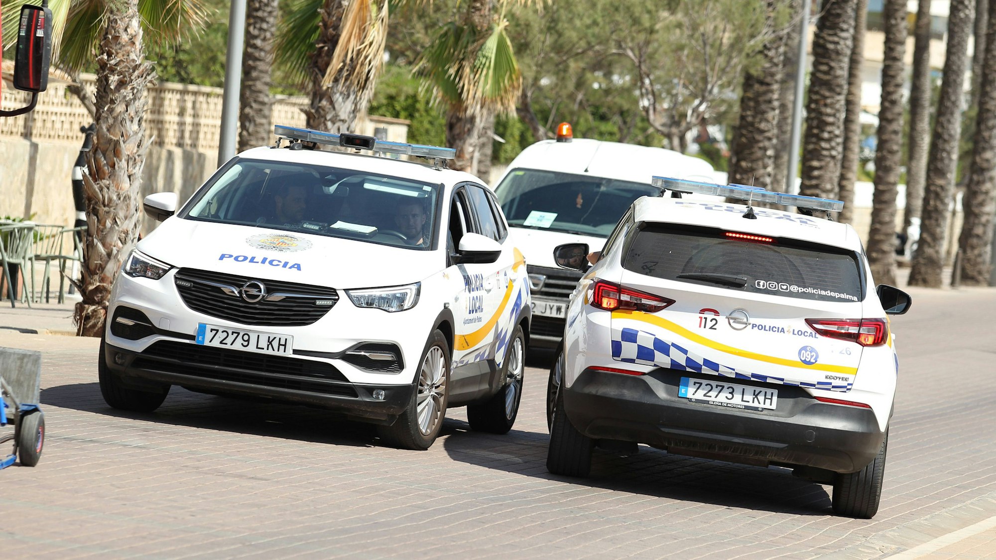 Polizeiautos, ein Transporter, Menschen und Palmen