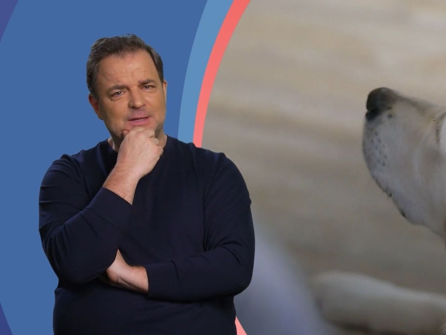 Martin Rütter findet: Goldie-Dame Layla tanzt ihren Herrchen immer noch auf der Nase herum. (Bild: RTL)