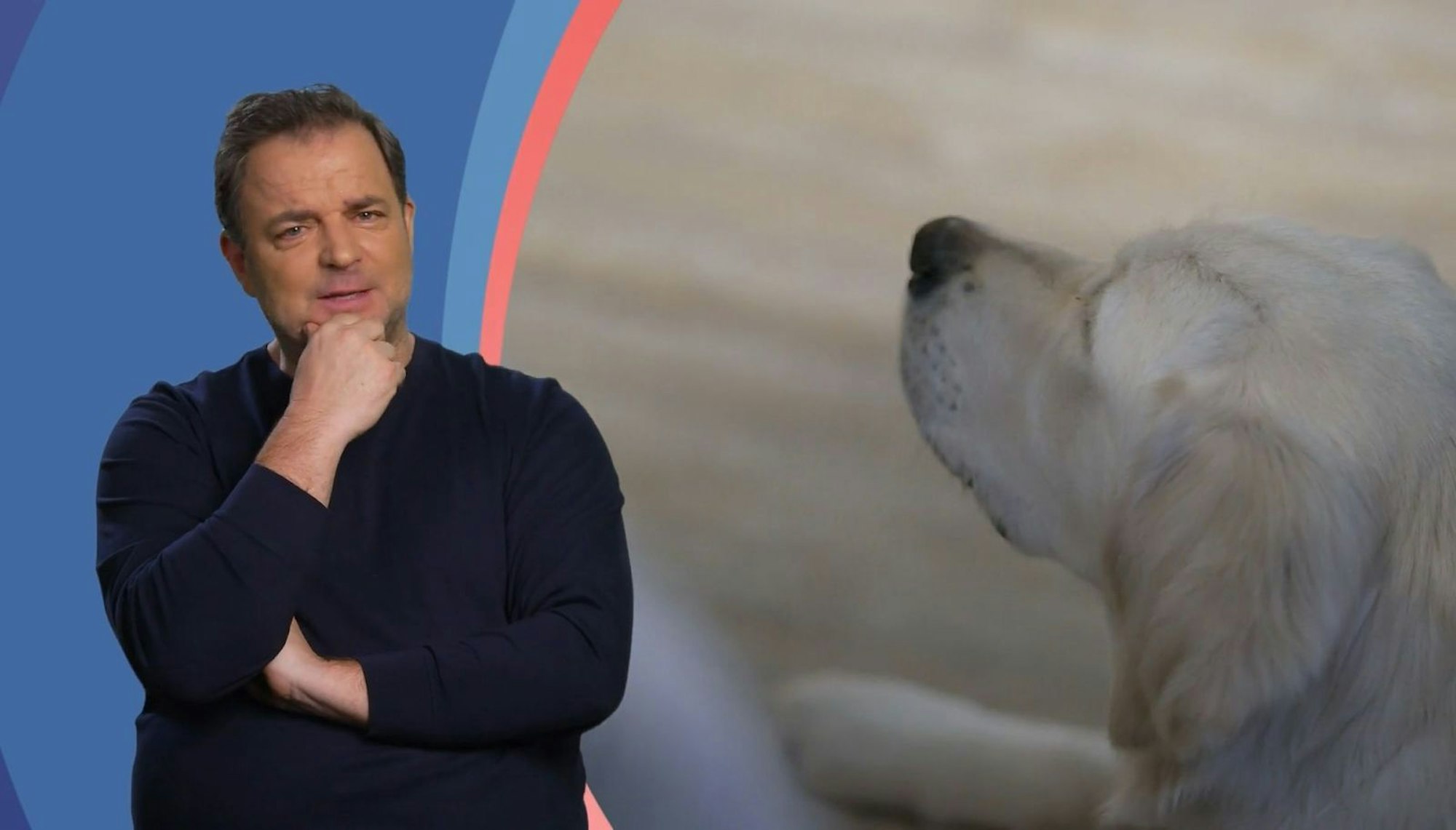 Martin Rütter findet: Goldie-Dame Layla tanzt ihren Herrchen immer noch auf der Nase herum. (Bild: RTL)