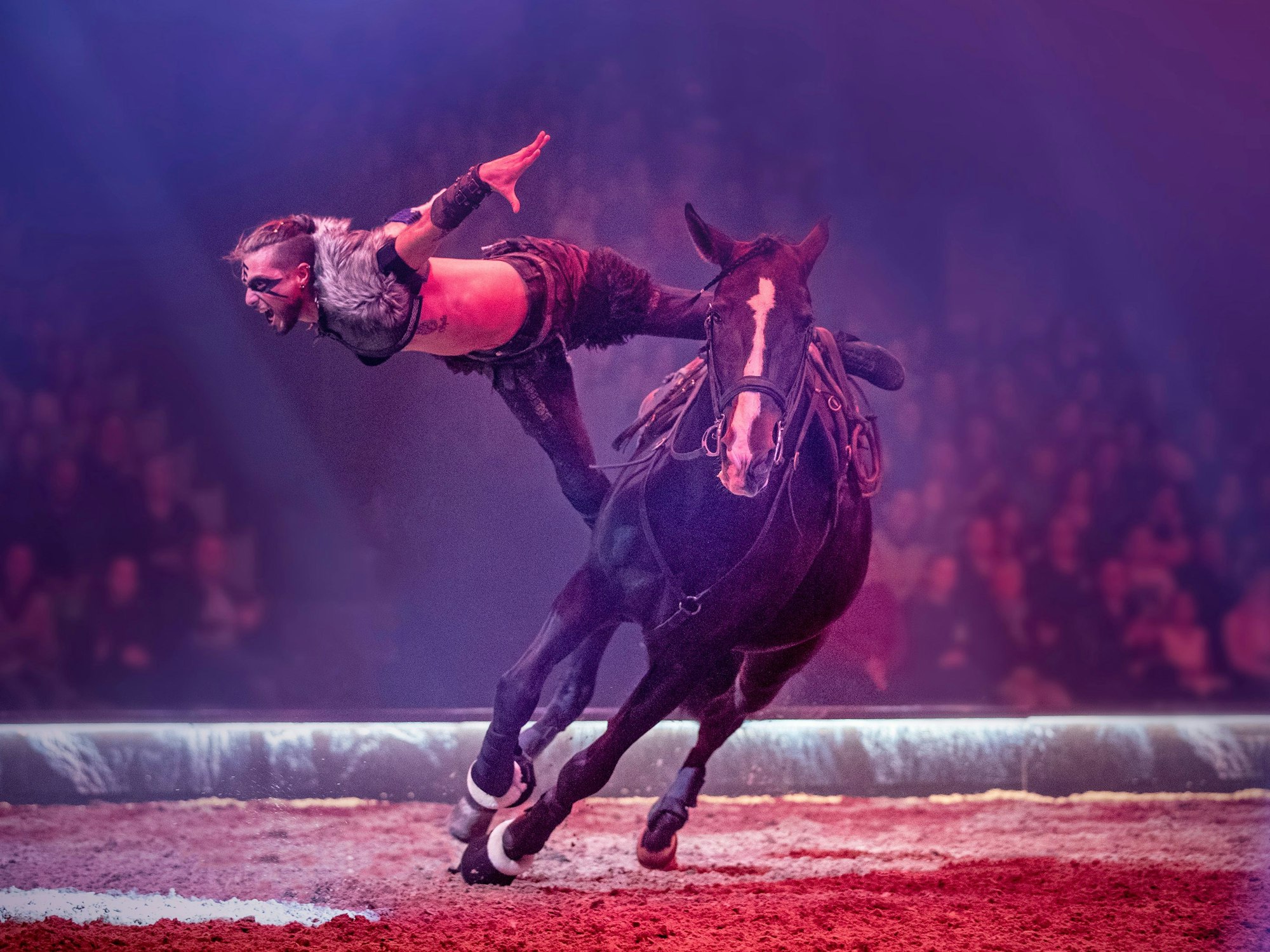 Szene aus der Show Cavalluna.