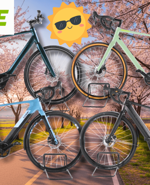 4 Verschiedene Gravel E-Bikes vor einem blühenden Radweg.