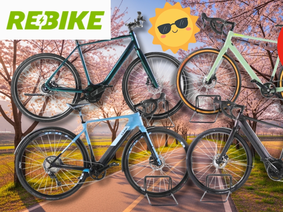 4 Verschiedene Gravel E-Bikes vor einem blühenden Radweg.