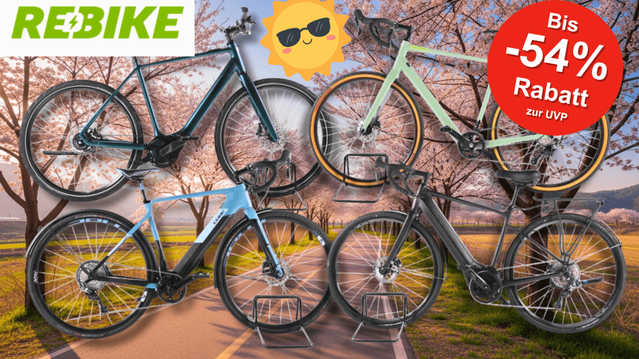 4 Verschiedene Gravel E-Bikes vor einem blühenden Radweg.