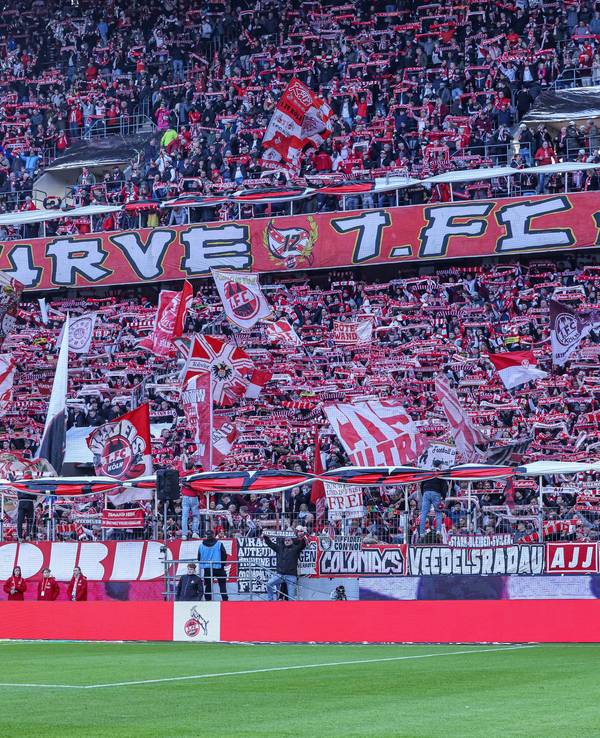 Beim Heimspiel gegen Mainz 05 soll es zu einem Übergriff gegen eine Influencerin gekommen sein.
