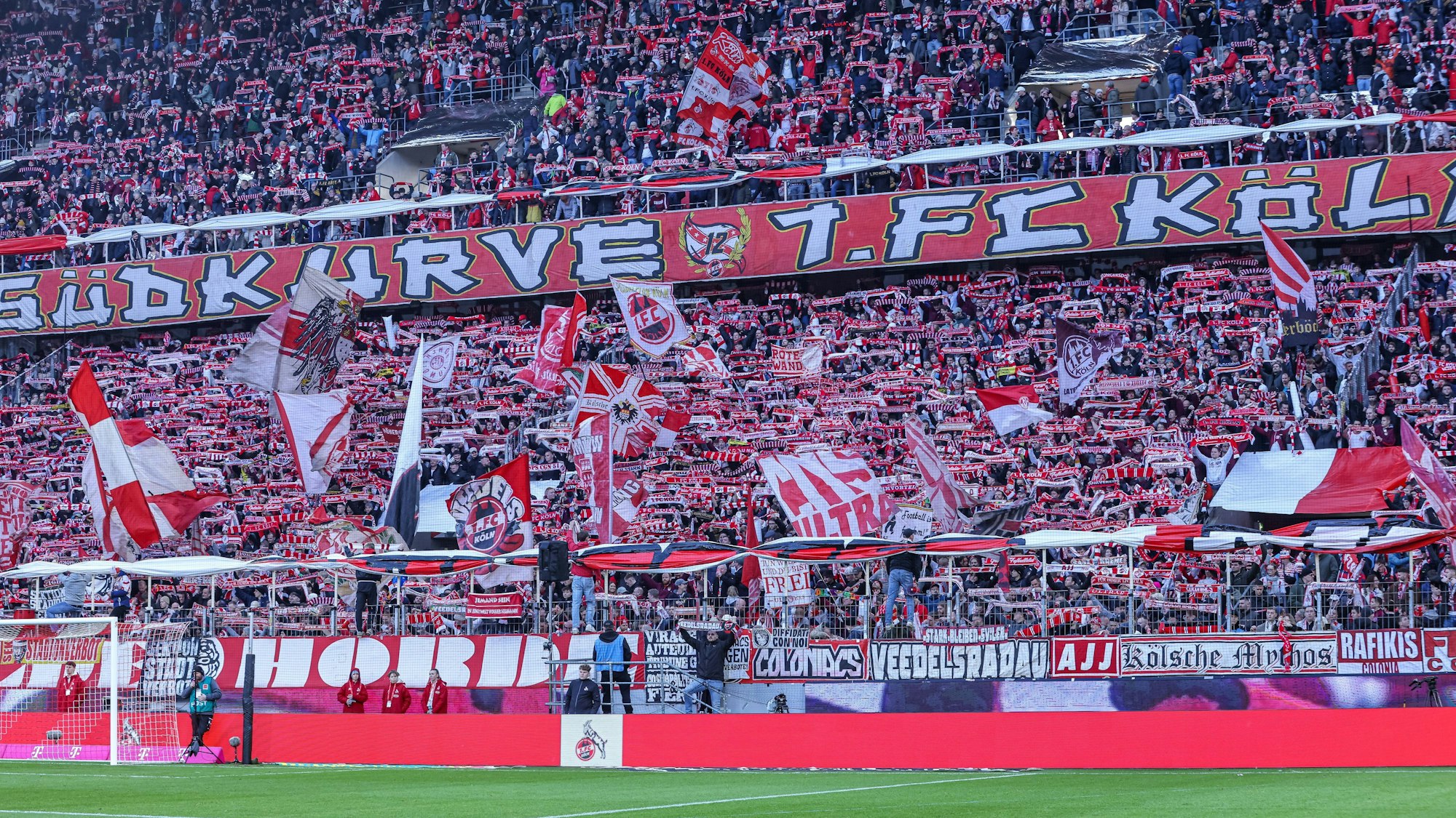 Beim Heimspiel gegen Mainz 05 soll es zu einem Übergriff gegen eine Influencerin gekommen sein.