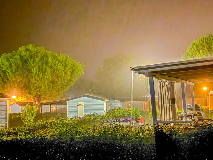 Häuser und Bäume im Nebel bei Nacht