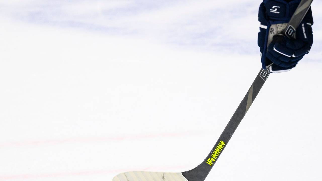 Iserlohn Roosters