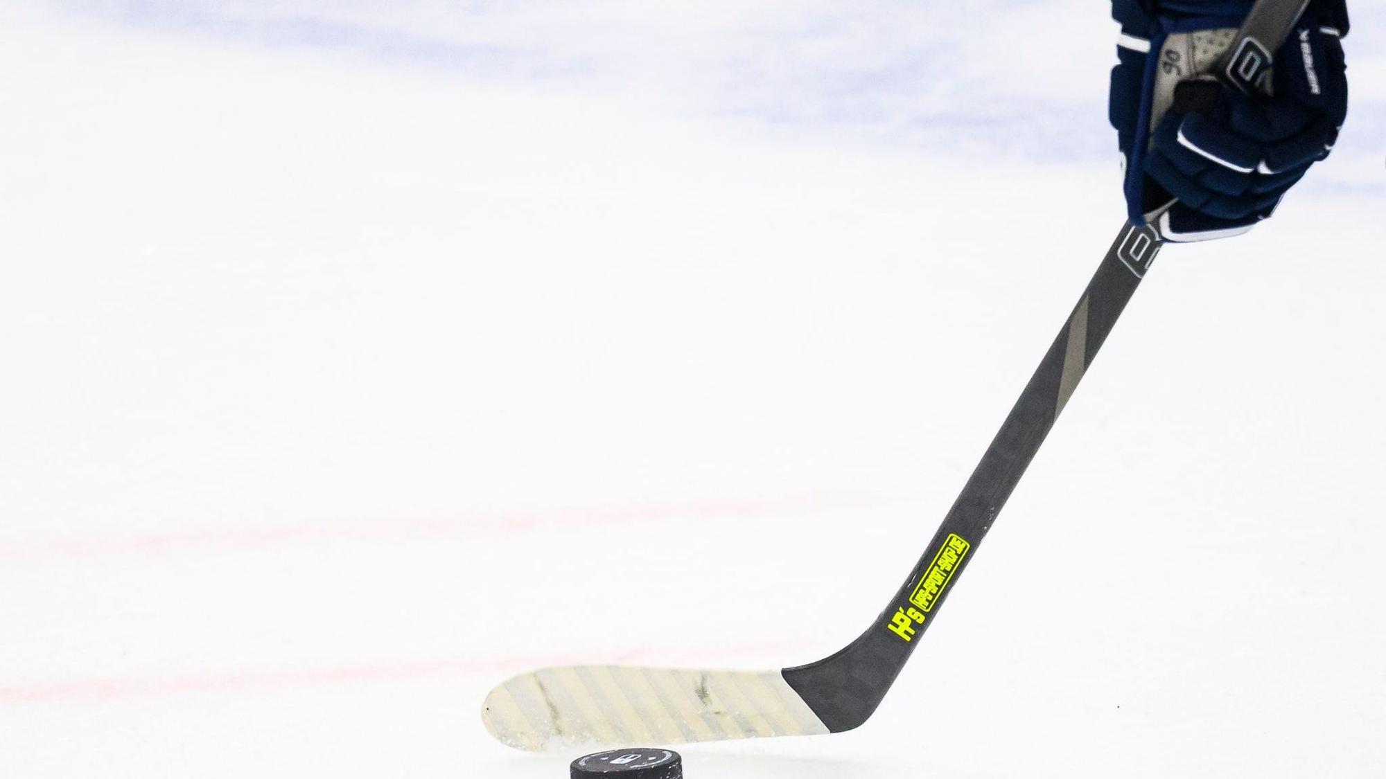 Iserlohn Roosters