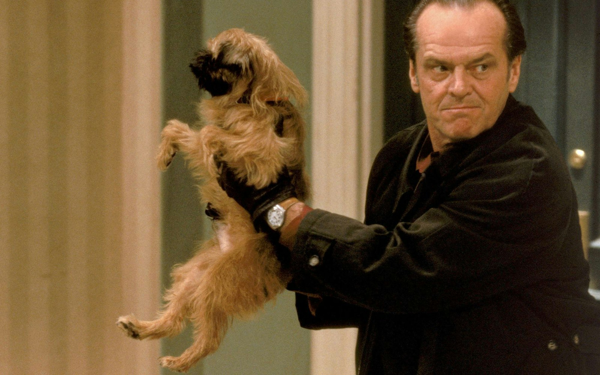 Ein Pinscher erschüttert Melvins (Jack Nicholson) Sauberkeitswahn in seinen Grundfesten. (Bild: ZDF/ARD Degeto/TriStar Pictures, inc)