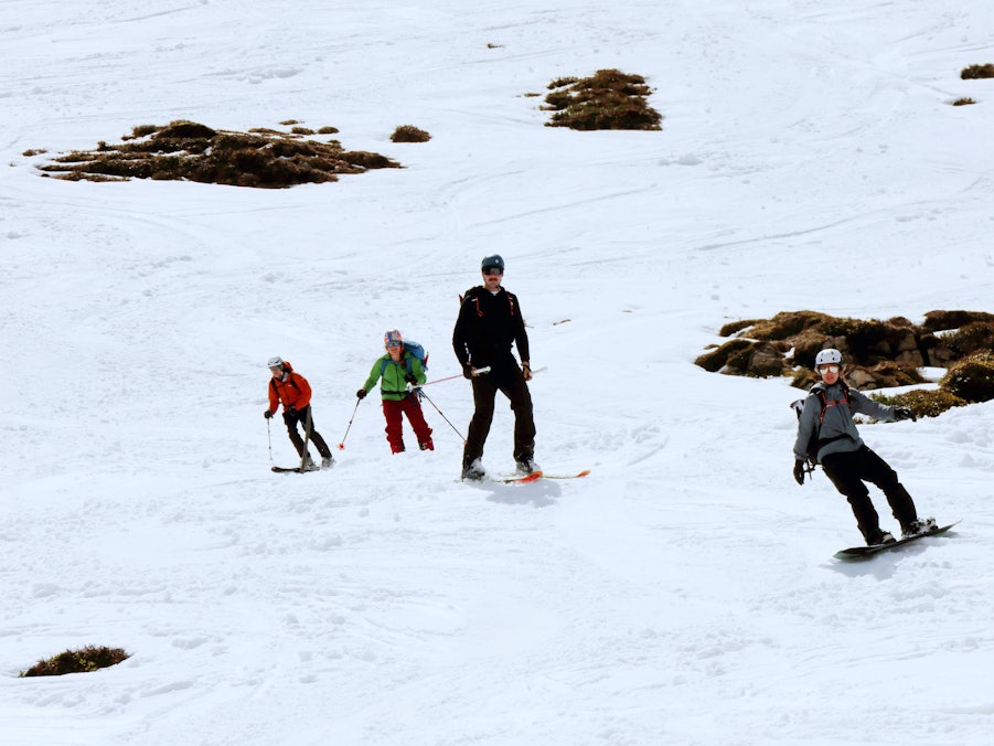 Vier Personen auf Skiern und Snowboard im Schnee