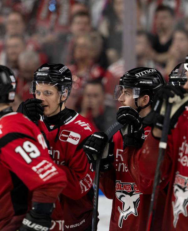 Die Spieler der Kölner Haie stehen auf dem Eis.