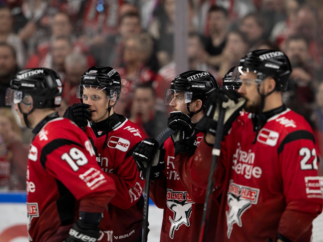 Die Spieler der Kölner Haie stehen auf dem Eis.