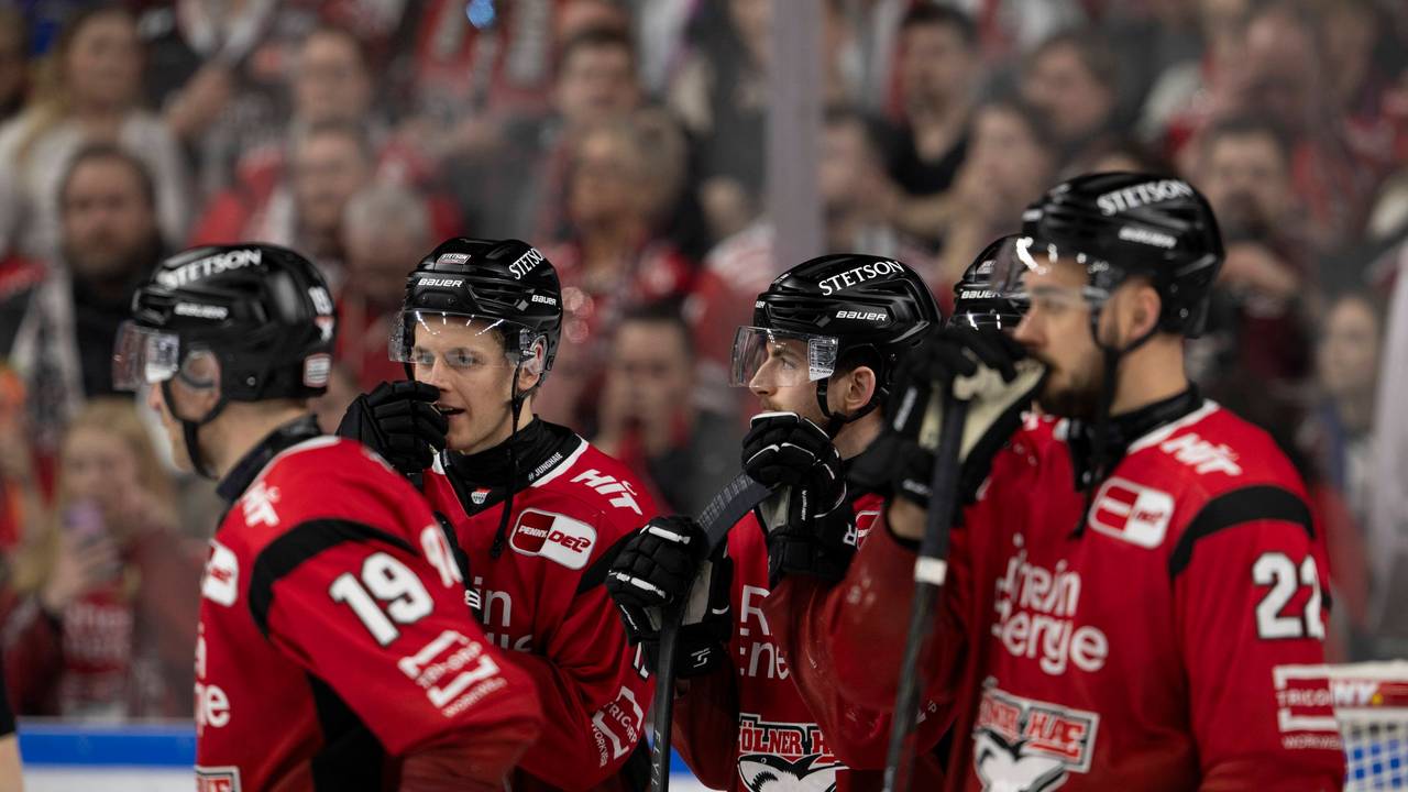 Die Spieler der Kölner Haie stehen auf dem Eis.