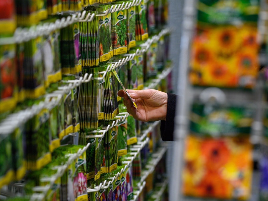 Messebesucherin schaut sich Saatgut an