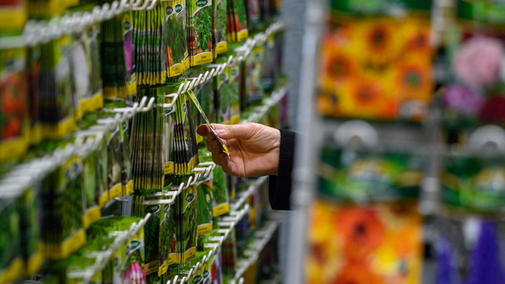 Messebesucherin schaut sich Saatgut an