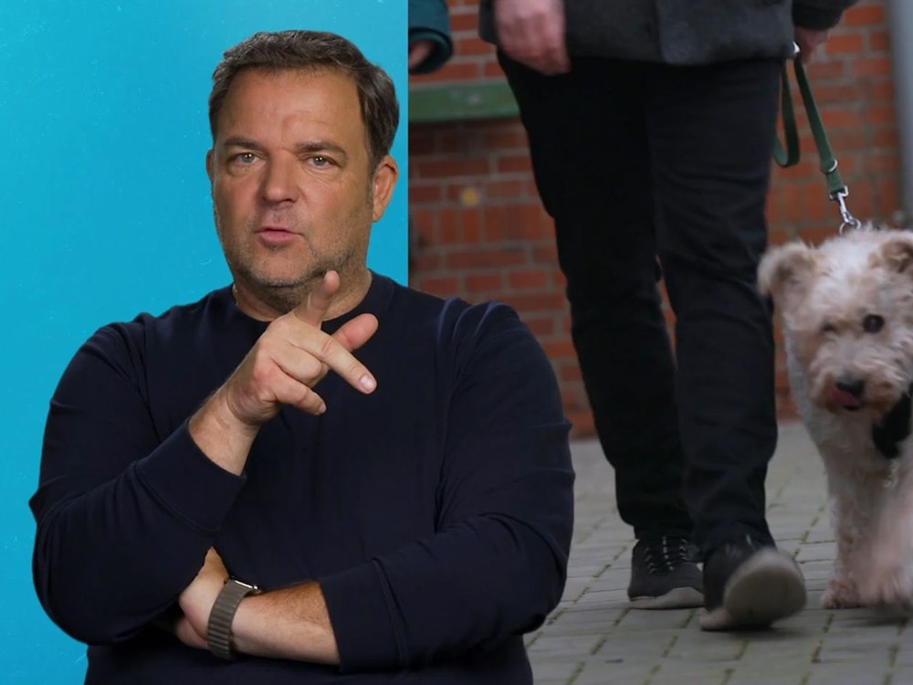 Martin Rütter sucht ein Zuhause für den fast blinden Rexi. (Bild: RTL)