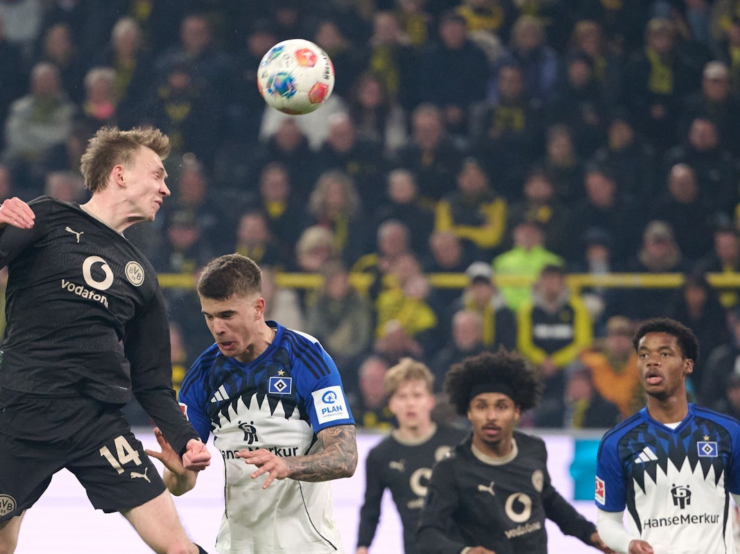 Borussia Dortmund - Hamburger SV