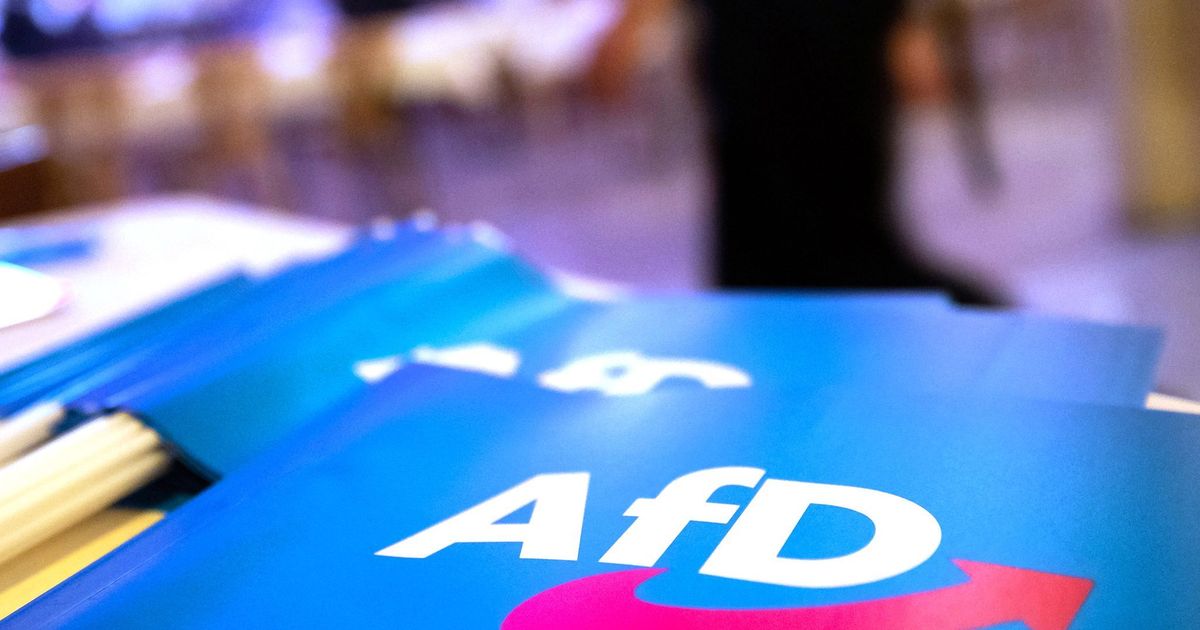 AfD-Schock: Warum die Rechtspopulisten trotz Skandalen immer stärker werden - Experte erklärt