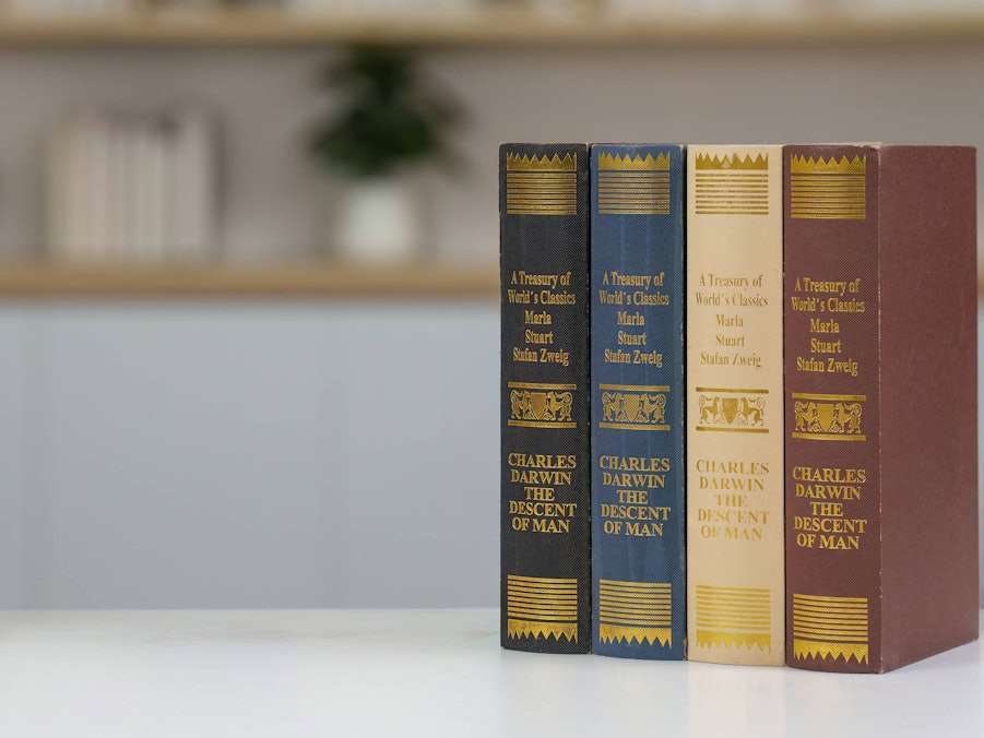 Waage, Hammer und Gesetzbücher