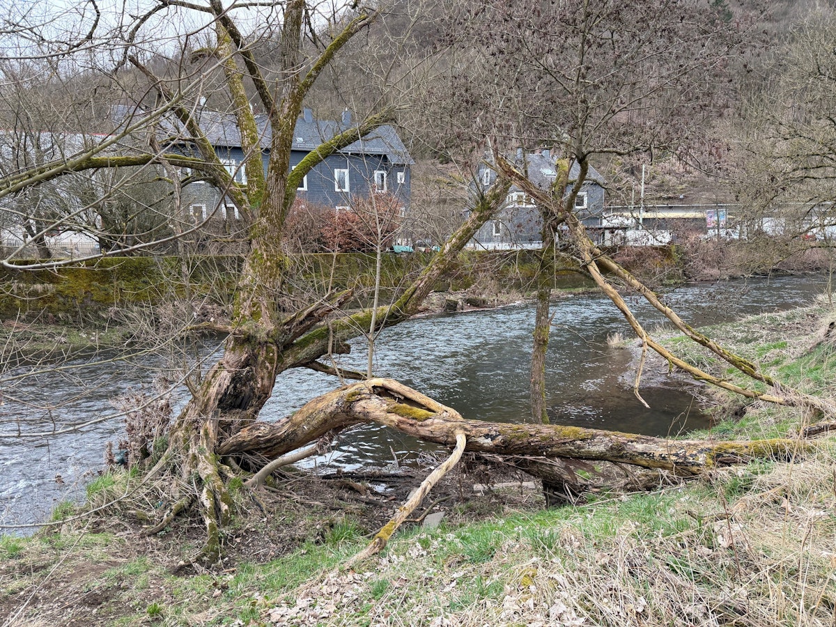 Blick auf ein Gelände an der Sieg in Siegen-Eiserfeld.