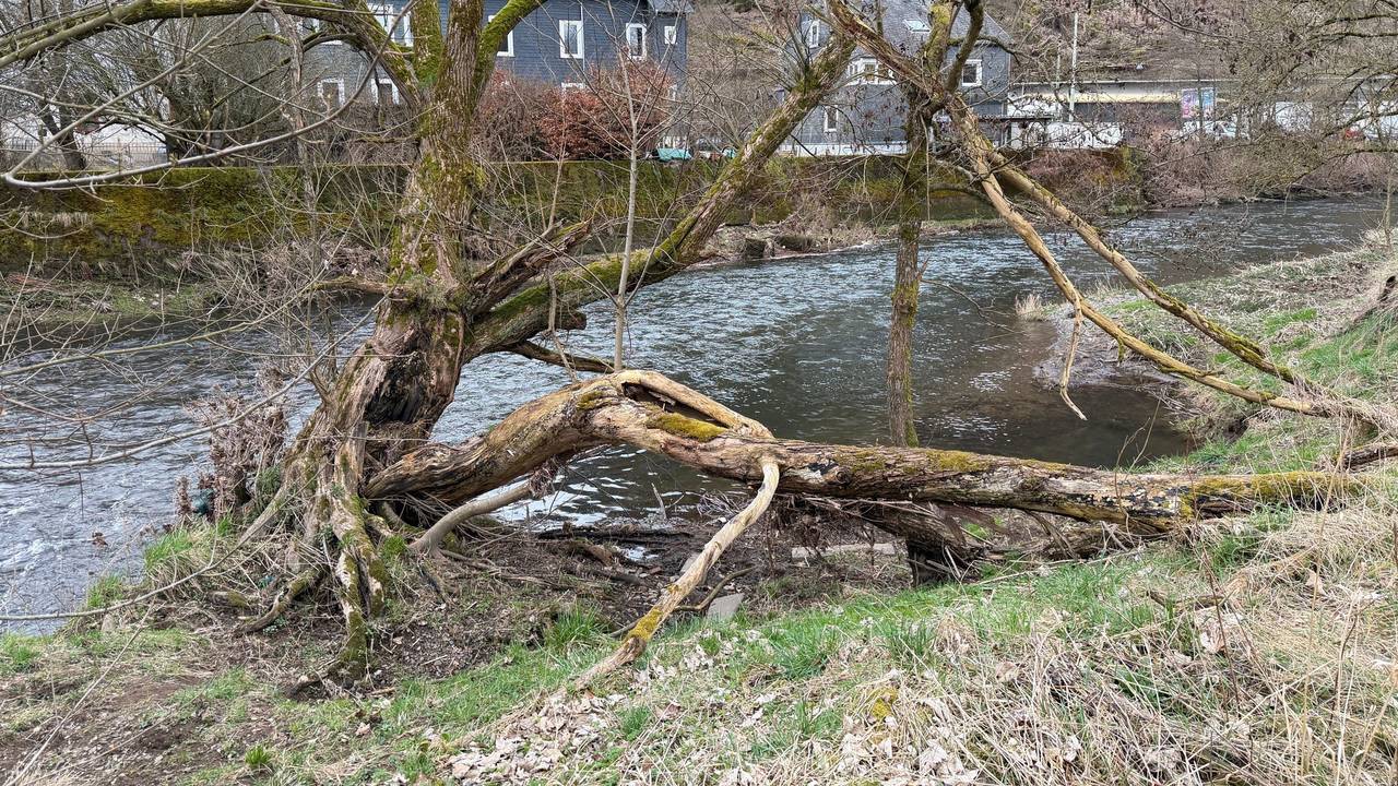 Blick auf ein Gelände an der Sieg in Siegen-Eiserfeld.