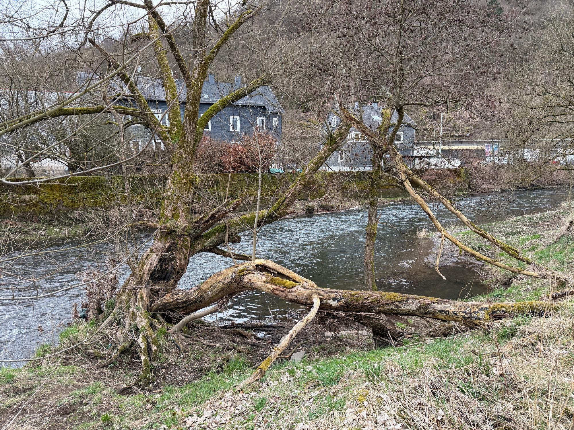Blick auf ein Gelände an der Sieg in Siegen-Eiserfeld.
